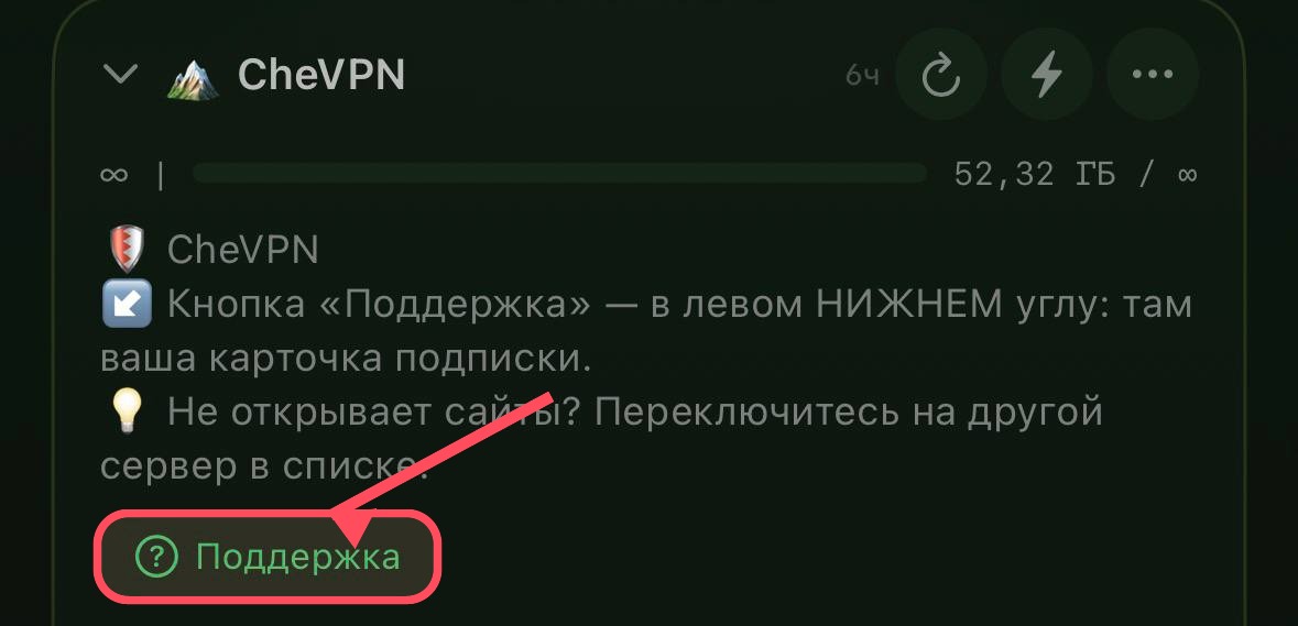 Кнопка «Поддержка» в INCY — карточка подписки
